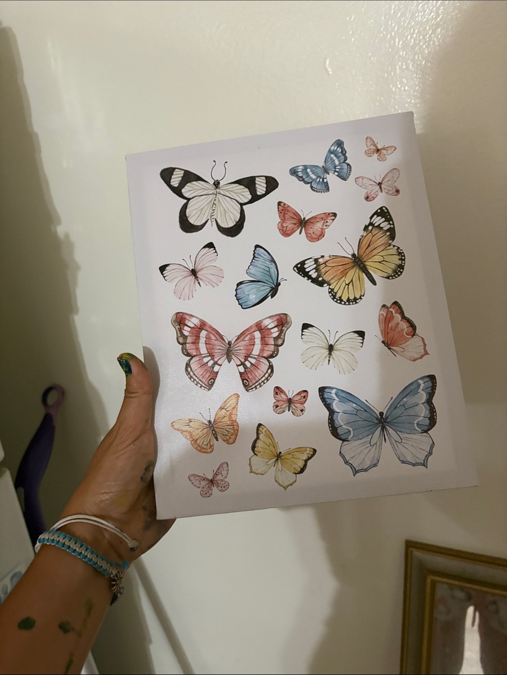 Butterfly Wall Art Poster - Multicolor